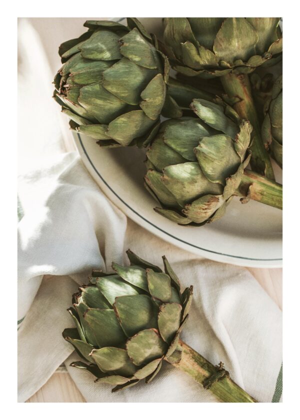 Artichoke in Sunlight Print Artichoke in Sunlight Print
