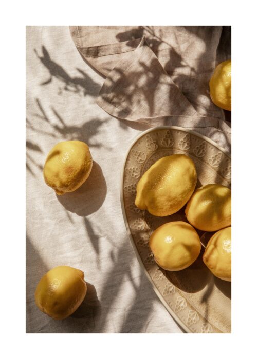 Lemons In Sunlight Print Lemons In Sunlight Print