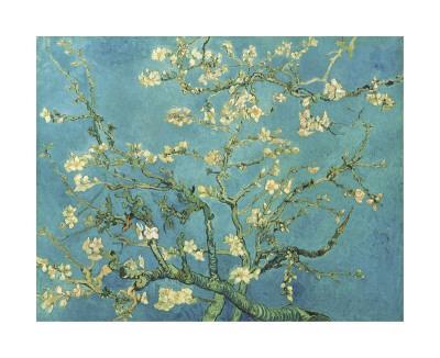 Almond Branches in Bloom, San Remy, c.1890 - Giclee Print, 24x20