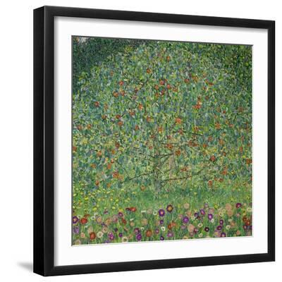 Apple Tree I, 1911 or 1912 Oil on canvas (109 x 110 cm) Estates of Ferdinand and Adele Bloch-Bauer. - Black Framed Art Print Wall Art, 16x16