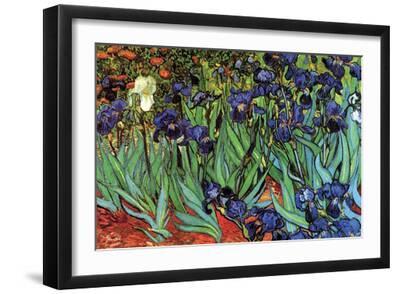 Irises - Black Framed Art Print Wall Art, 18x12