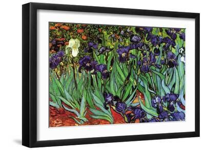 Irises - Black Framed Art Print Wall Art, 18x12