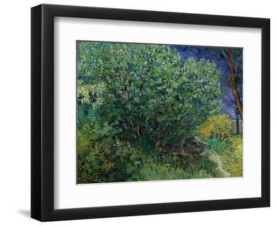 Lilac Bush, 1889 - Black Framed Art Print Wall Art, 12x9