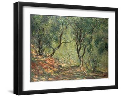 Olive Grove in the Moreno Garden, 1884 - Black Framed Art Print Wall Art, 16x12