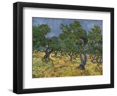 Olive Orchard Mid-June, 1889 - Black Framed Art Print Wall Art, 12x9