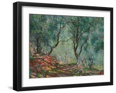 Olive Trees in the Moreno Garden, 1884 - Black Framed Art Print Wall Art, 16x12