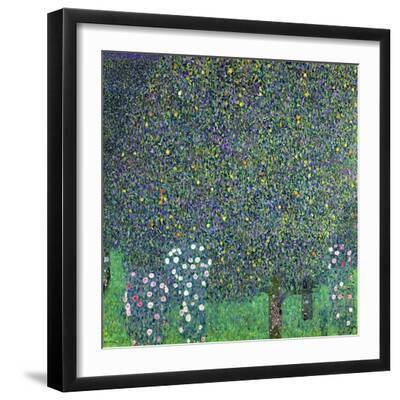 Roses Under the Trees, circa 1905 - Black Framed Art Print Wall Art, 16x16