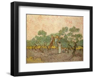 Women Picking Olives - Black Framed Art Print Wall Art, 12x9